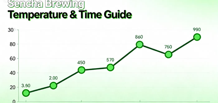 Sencha Brewing Temperature & Time Guide