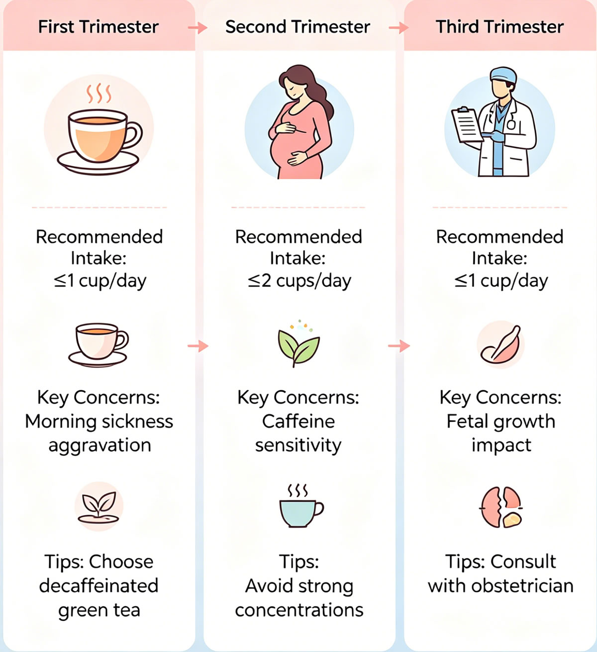 Trimester by trimester green tea safety guideline chart for pregnancy